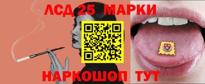 прущие грибы Сланцы