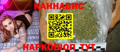 прущие грибы Сланцы