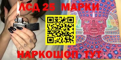 прущие грибы Сланцы