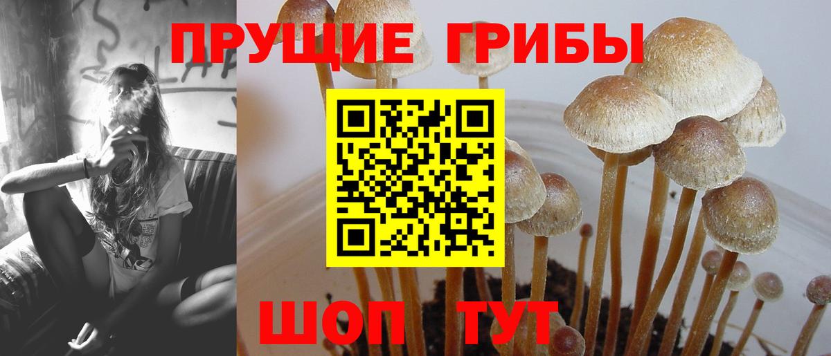 Орехово-Зуево  Галлюциногенные грибы мицелий  Вход с VPN 